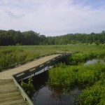 boardwalk at Huntley Meadows